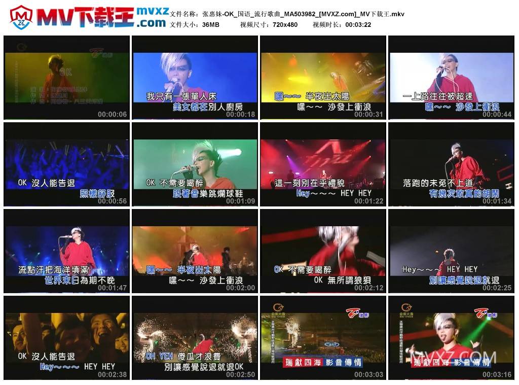 张惠妹-OK_国语_流行歌曲_MA503982